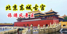 黑人大鸡吧操美女视频中国北京-东城古宫旅游风景区